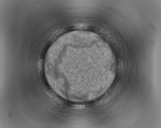 X0000111790649200908201133