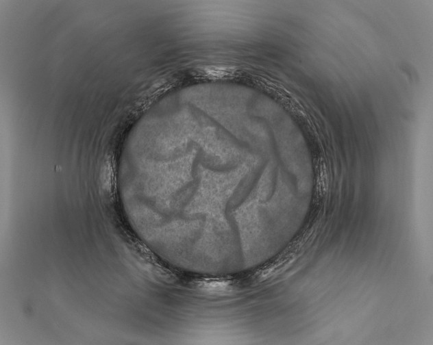 X0000111790651200908201133