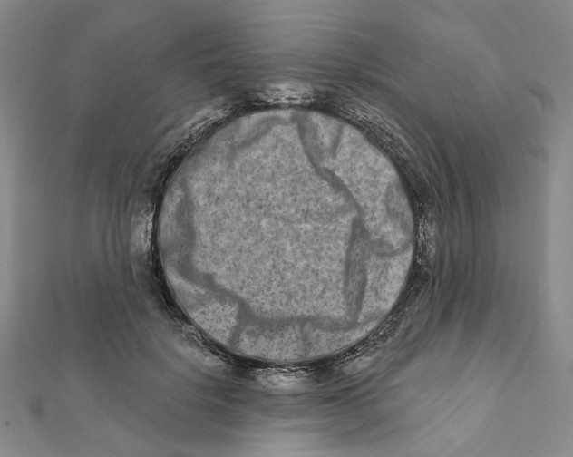 X0000111790652200908201133