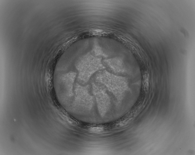 X0000111790653200908201133