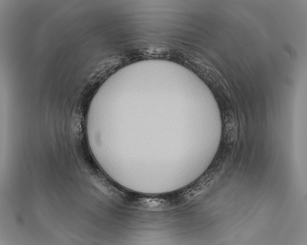 X0000111790654200908201133