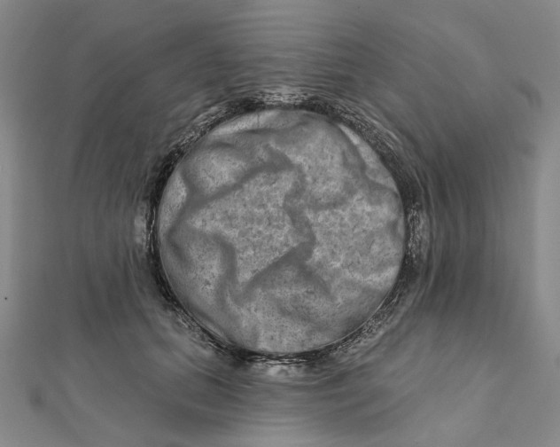 X0000111790655200908201133