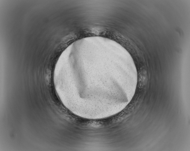 X0000111790656200908201133