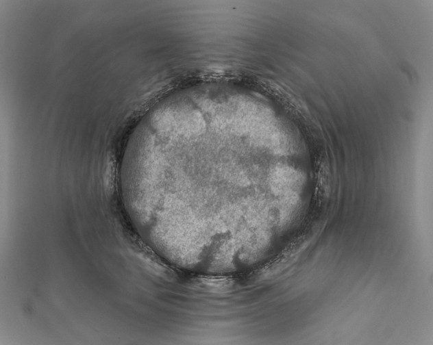 X0000111790659200908201133