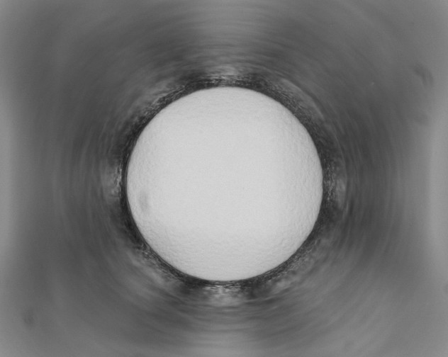 X0000111790660200908201133