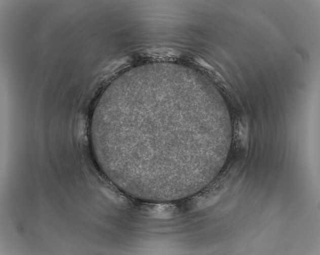 X0000111790663200908201133