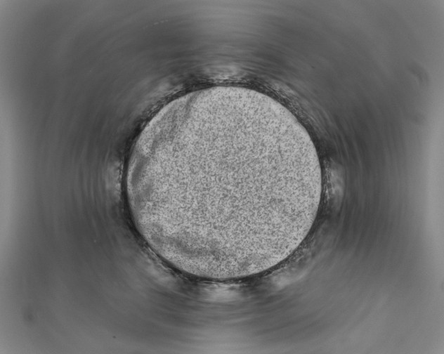 X0000111790664200908201133