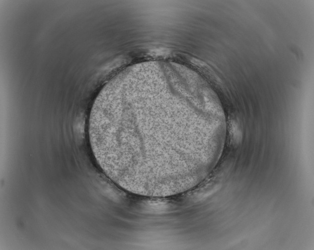 X0000111790668200908201133