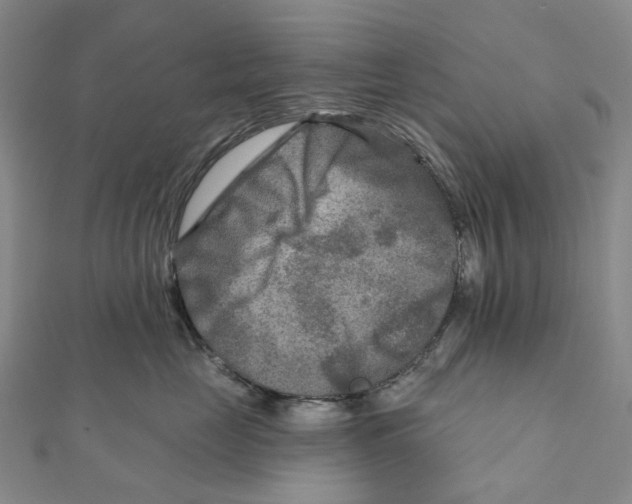 X0000111790669200908201133