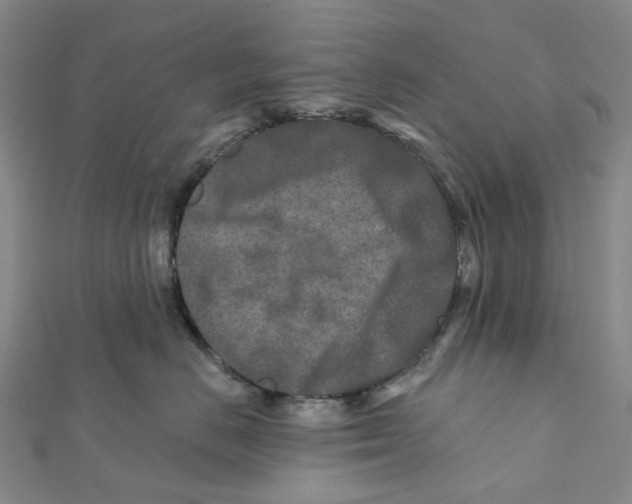 X0000111790670200908201133