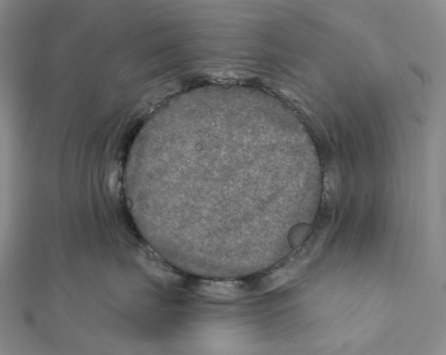 X0000111790671200908201133