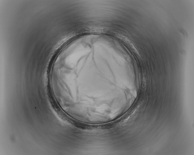 X0000111790674200908201132