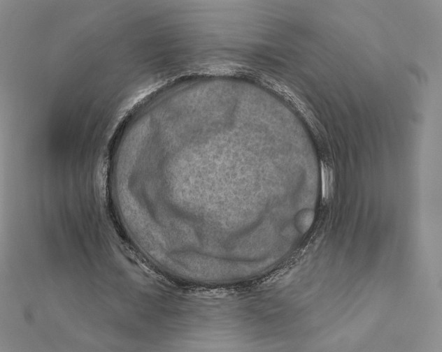 X0000111790675200908201132