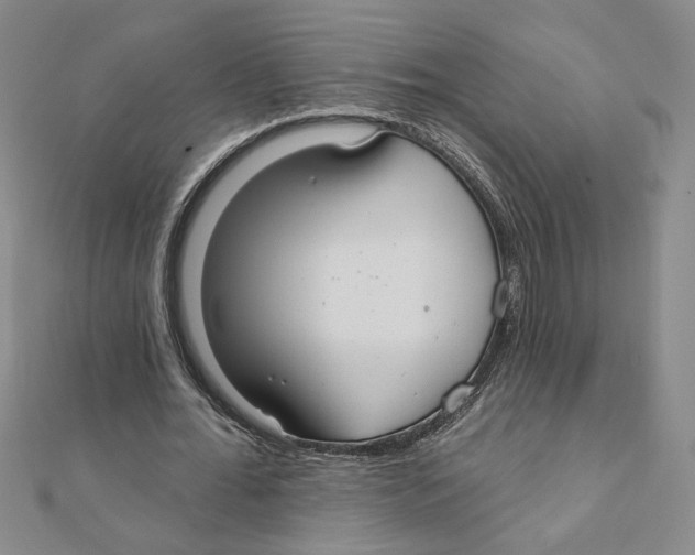 X0000111790676200908201132