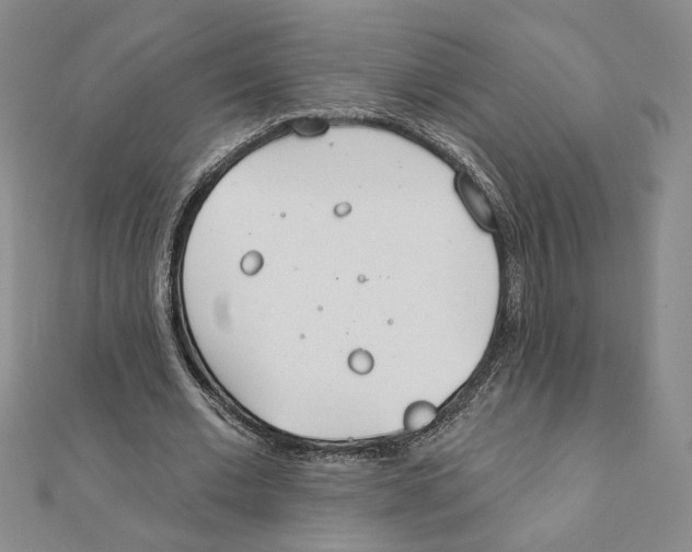 X0000111790677200908201132