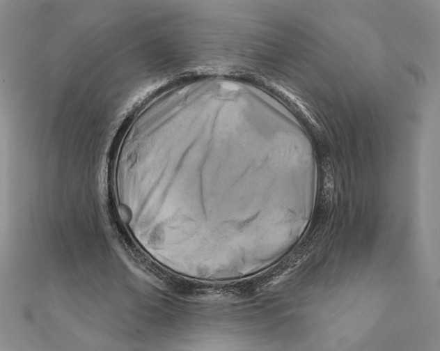 X0000111790678200908201132