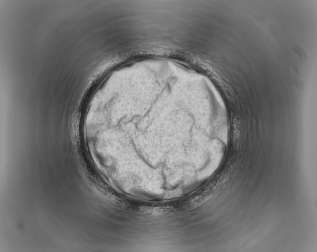 X0000111790679200908201132