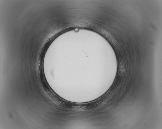 X0000111790680200908201132