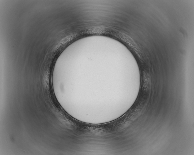 X0000111790681200908201132