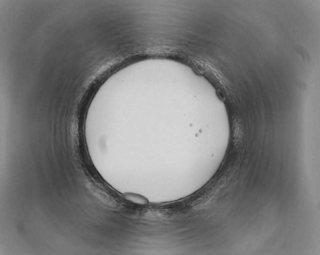 X0000111790684200908201132