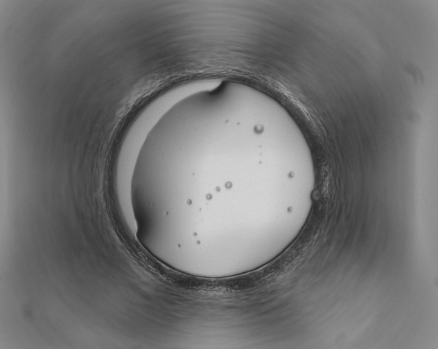 X0000111790685200908201132