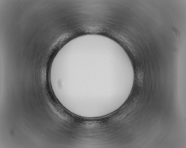 X0000111790686200908201132