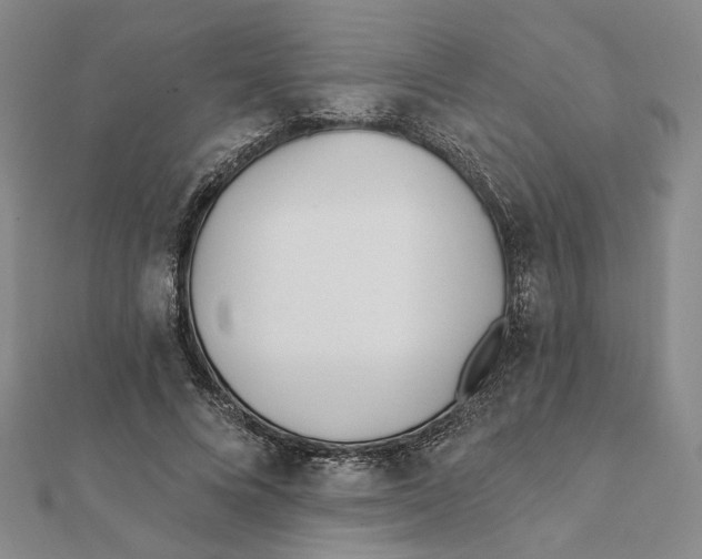 X0000111790688200908201132