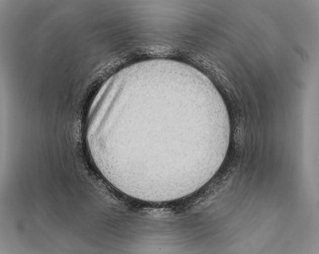 X0000111790689200908201132