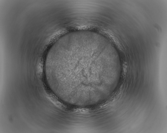 X0000111790691200908201132