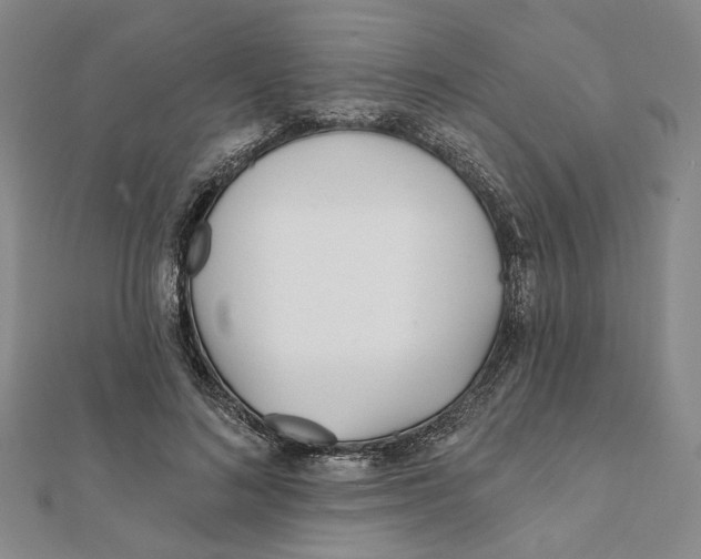 X0000111790692200908201132