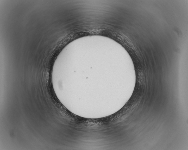 X0000111790697200908201132