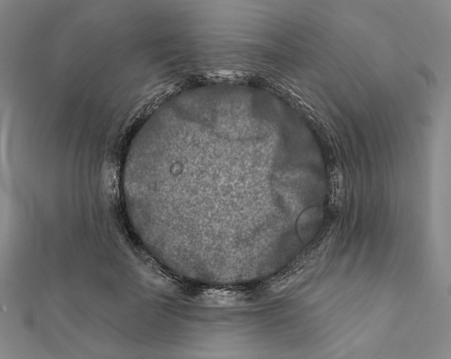 X0000111790699200908201132