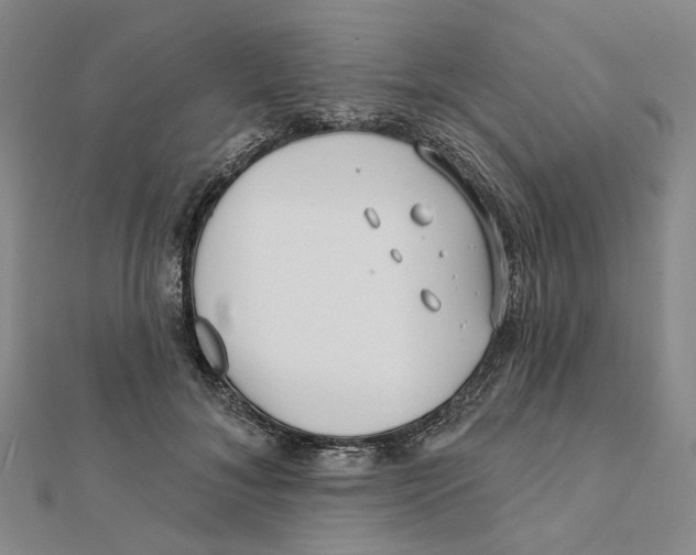 X0000111790700200908201132