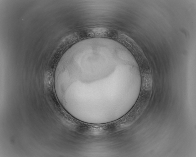 X0000111790701200908201132