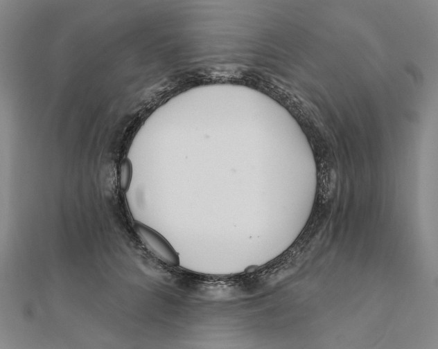 X0000111790704200908201132