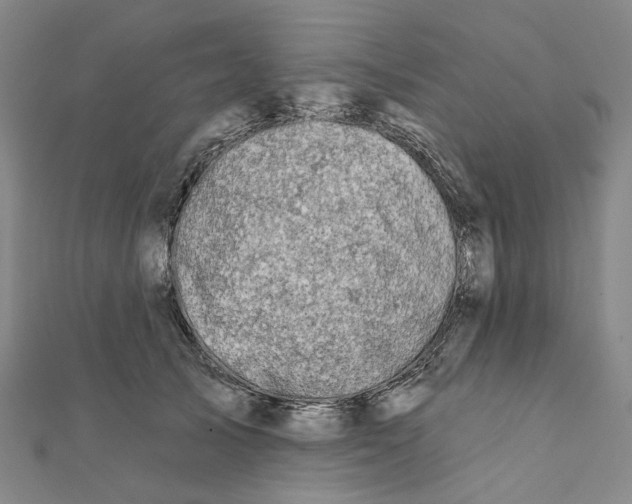 X0000111790705200908201132