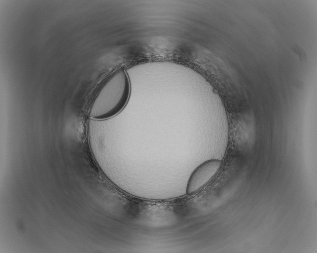 X0000111790709200908201132