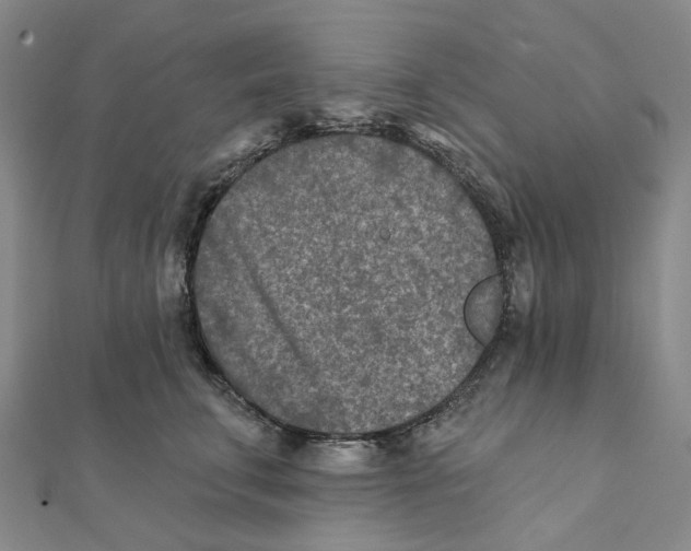 X0000111790711200908201132