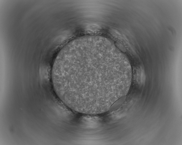 X0000111790712200908201132