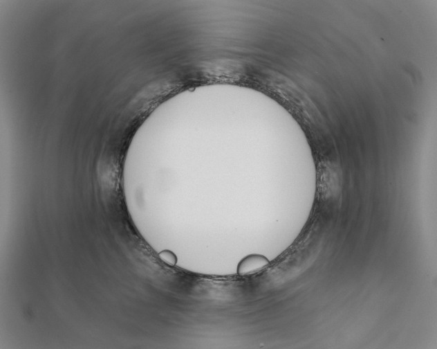 X0000111790713200908201132