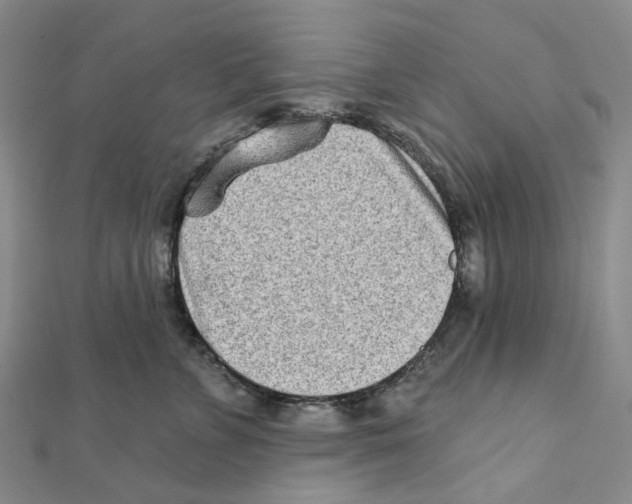 X0000111790715200908201132