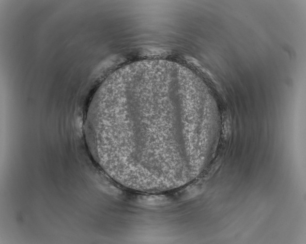 X0000111790716200908201132