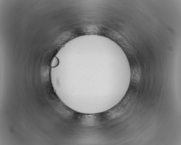 X0000111790717200908201132