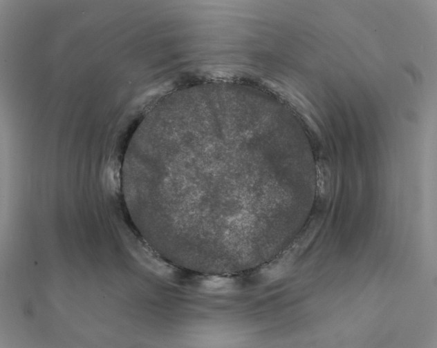 X0000111790718200908201132