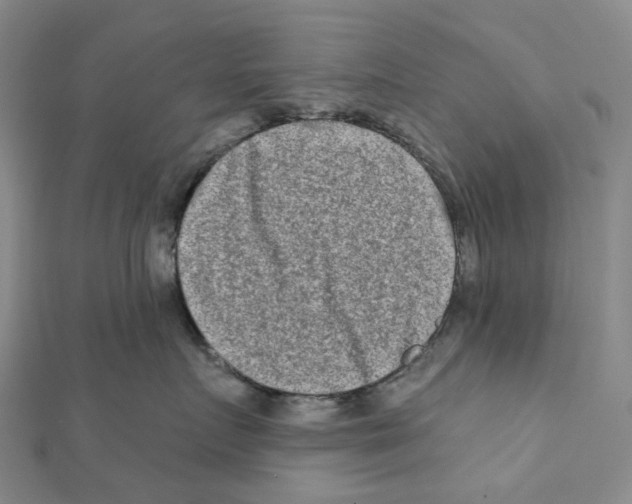 X0000111790719200908201132