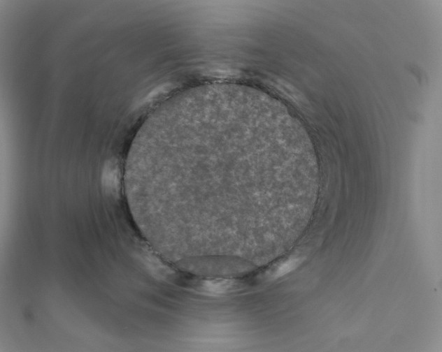 X0000111790720200908201132