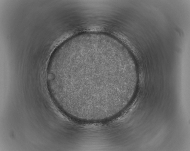 X0000111790721200908201131