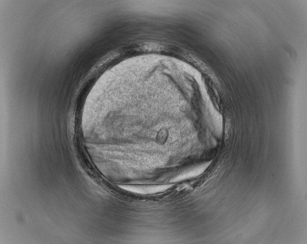 X0000111790722200908201131