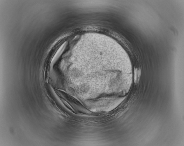 X0000111790723200908201131