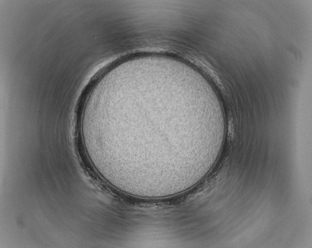 X0000111790724200908201131